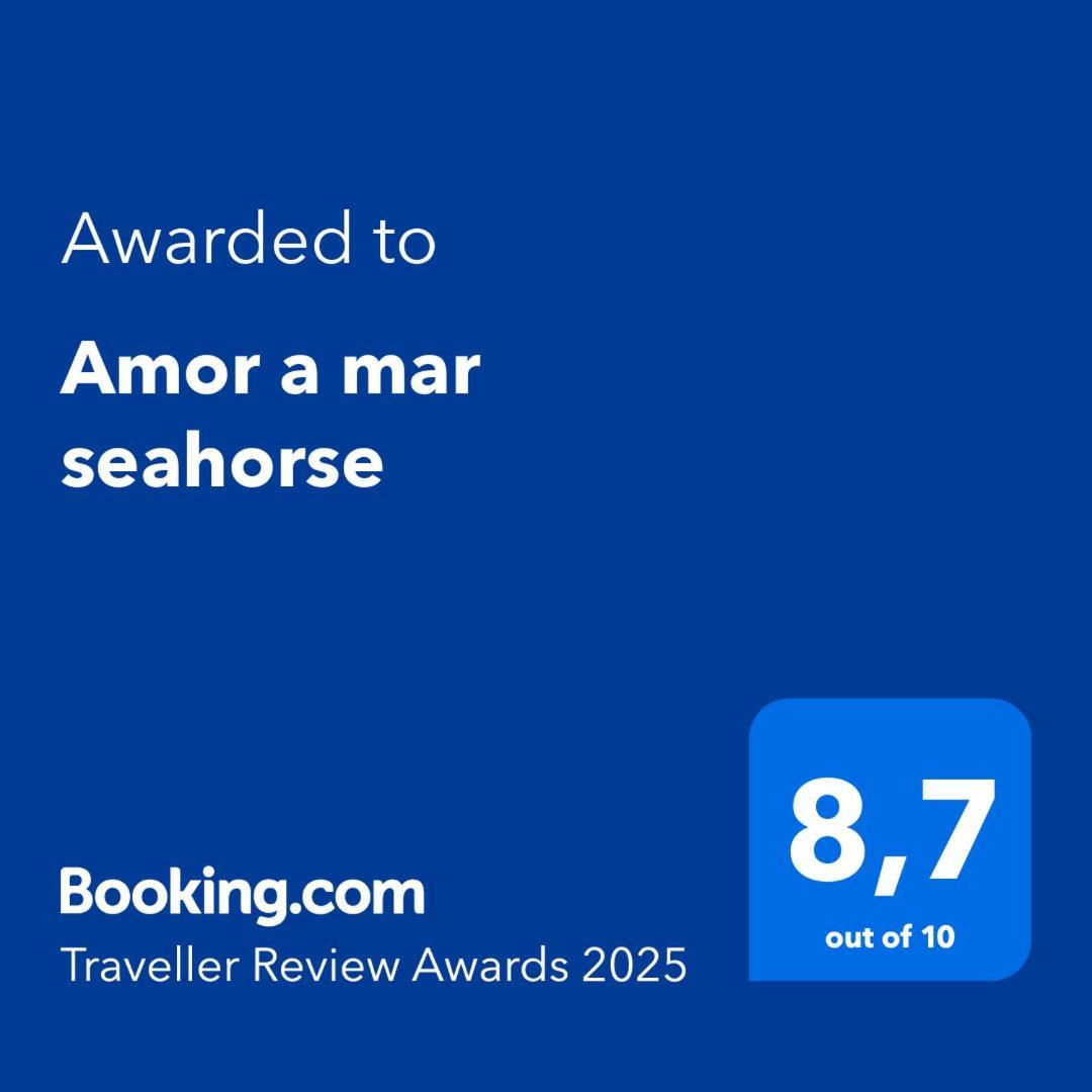 Amor A Mar Seahorse 푸에르토 델 카르멘 외부 사진